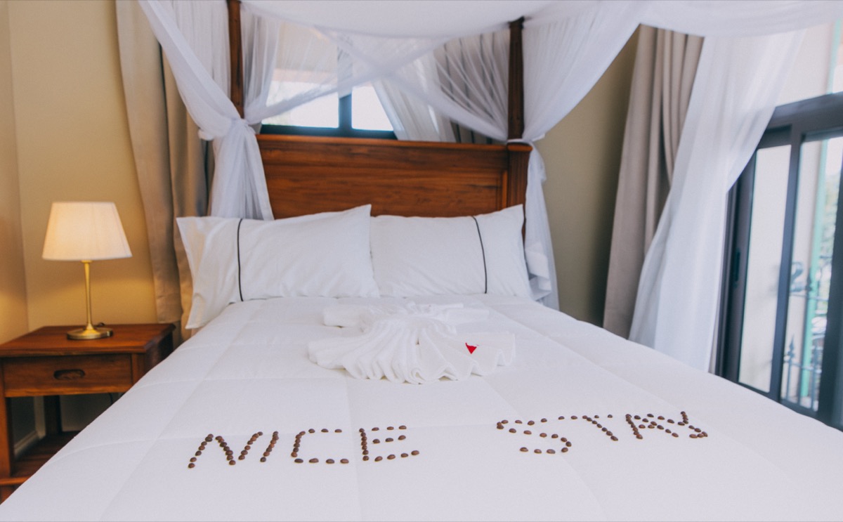 Elegant Guest Suite